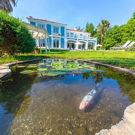 Vılla Zarik Otel