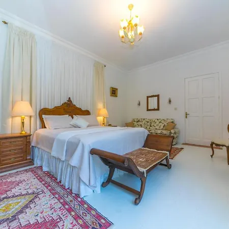 Zarik 马尔马里斯