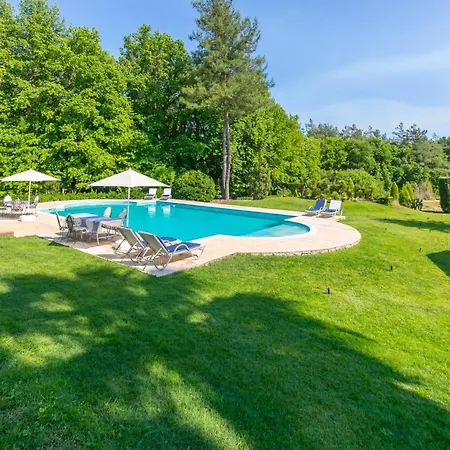 Zarik 酒店 马尔马里斯